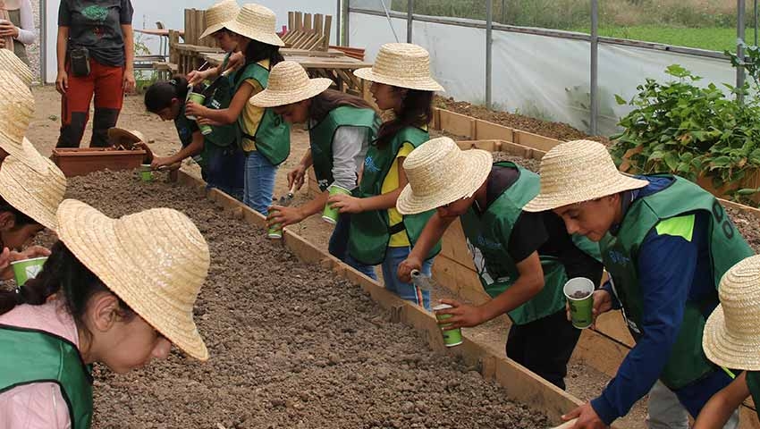 Özel BİREYSEL AİLE ÇOCUK ETKİNLİĞİ