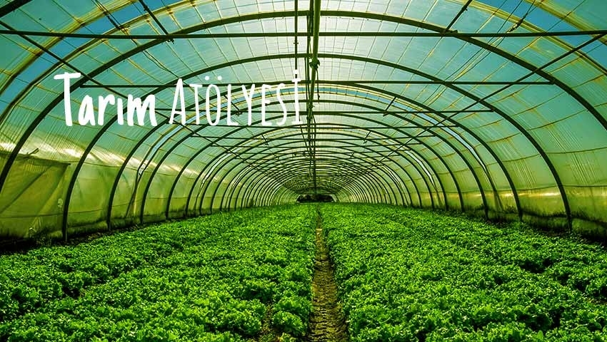 KIDSLANDPARK OKUL NİSAN-HAZİRAN