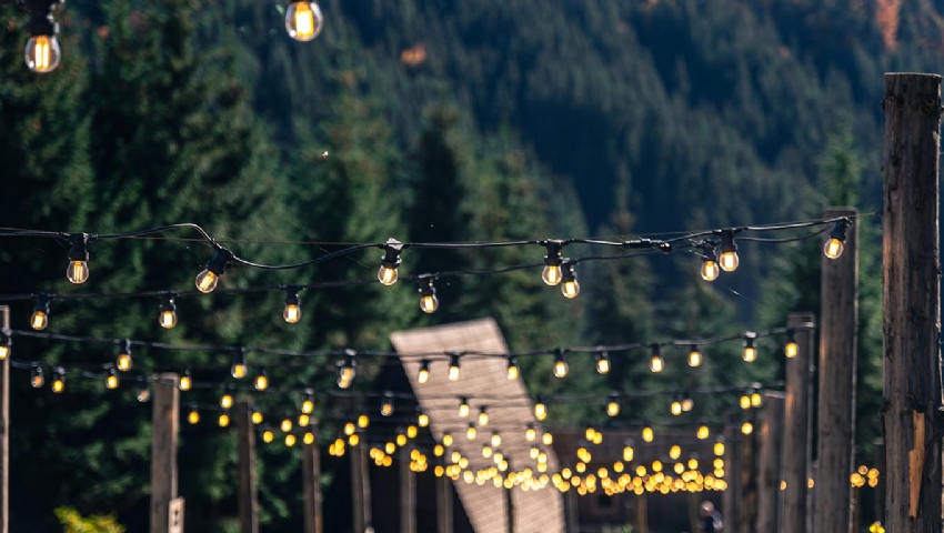 YEŞİL NESİL GARDEN ( DÜĞÜN ÖZEL ORGZ.KIR BAHÇELERİMİZ )