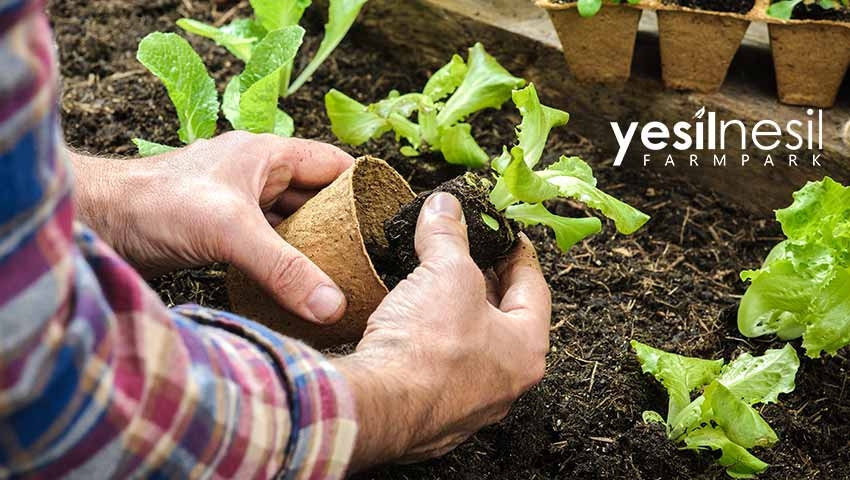 Özel BİREYSEL AİLE ÇOCUK ETKİNLİĞİ