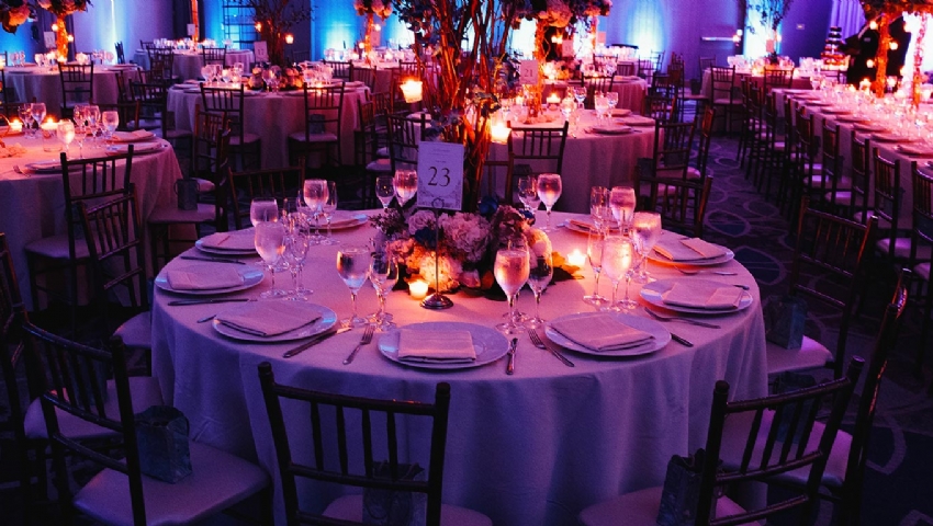 YEŞİL NESİL GARDEN ( DÜĞÜN ÖZEL ORGZ.KIR BAHÇELERİMİZ )