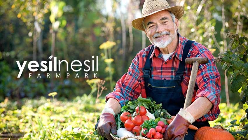 Özel BİREYSEL AİLE ÇOCUK ETKİNLİĞİ