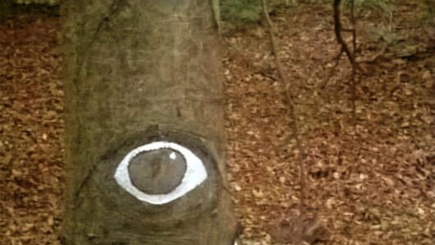 KIDSLANDPARK OKUL NİSAN-HAZİRAN