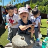 AİLE ÇOCUK CADIR KAMPI